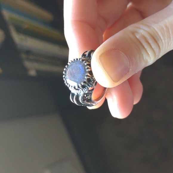 Bloodmilk Labradorite Belonging to the Darkness - Picture 3 of 4